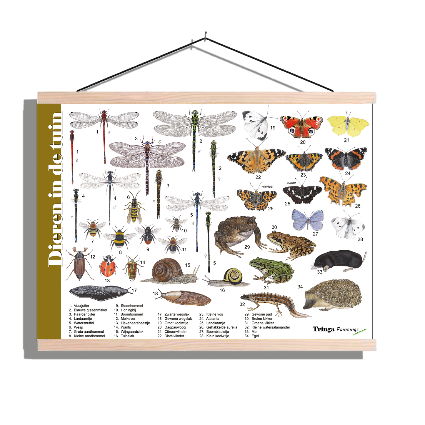 Herkenningsposter "Dieren in de tuin"