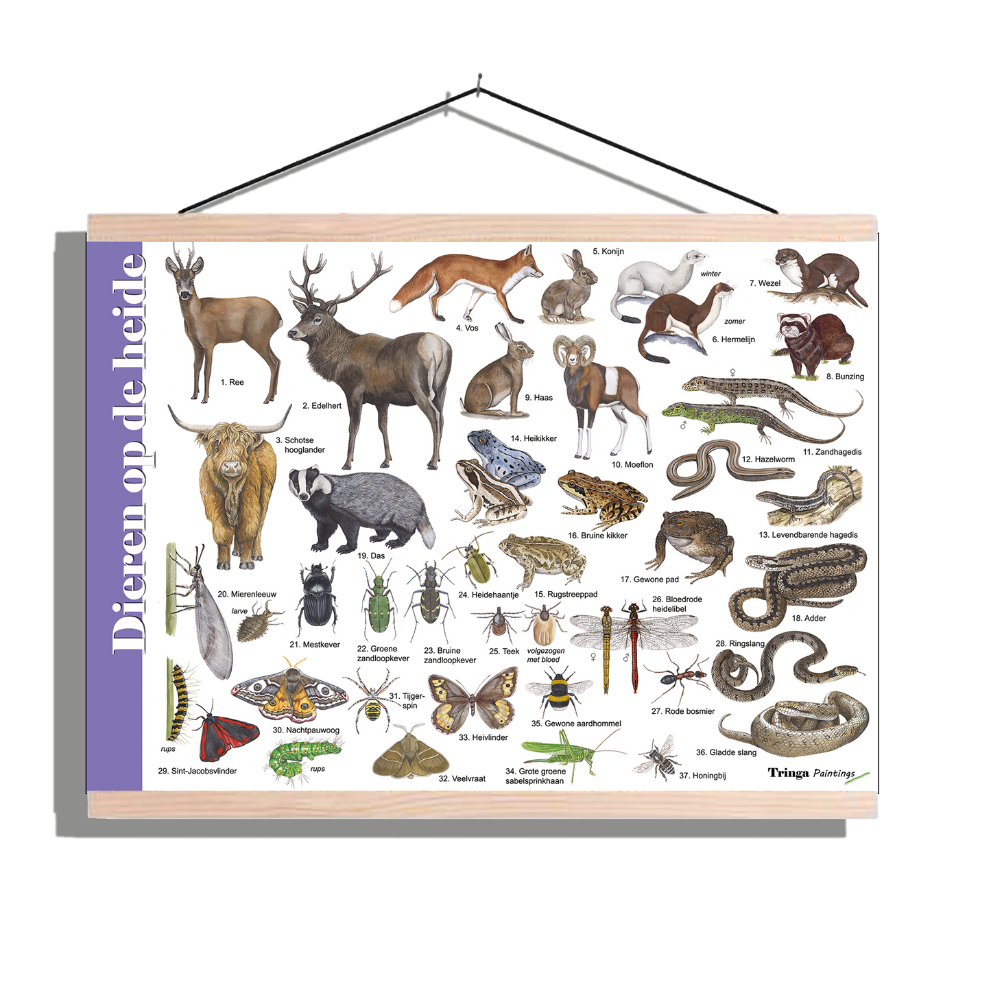 Herkenningsposter "Dieren op de heide"