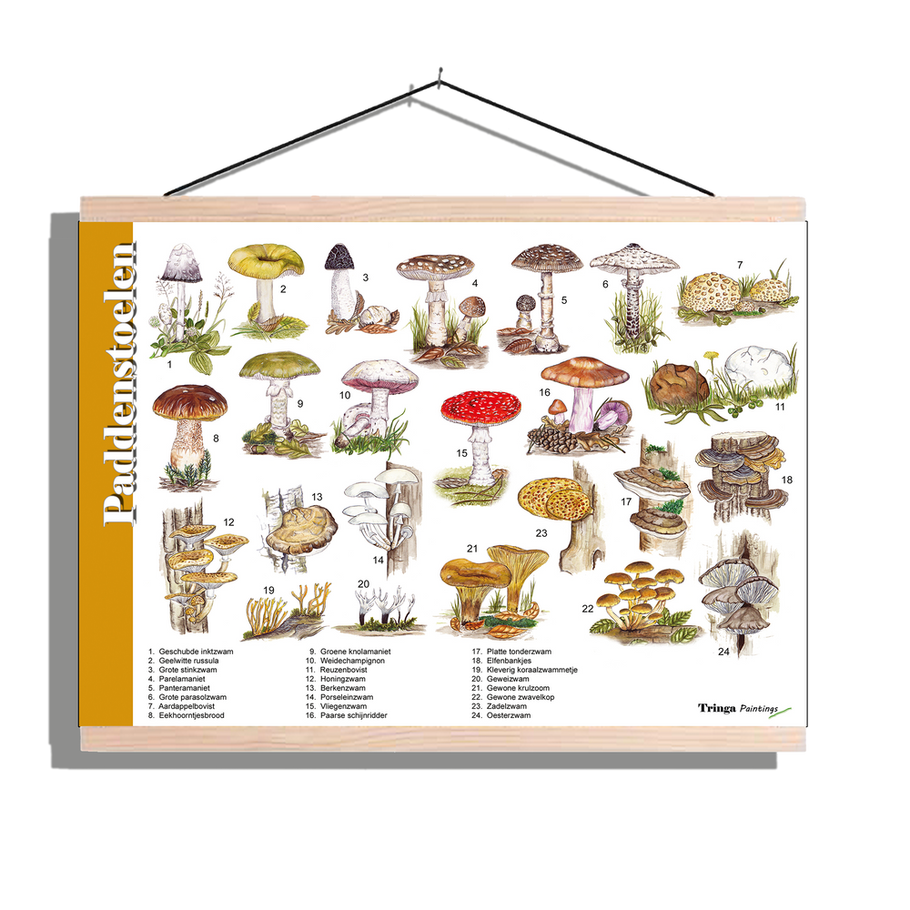 Herkenningsposter "Paddenstoelen"