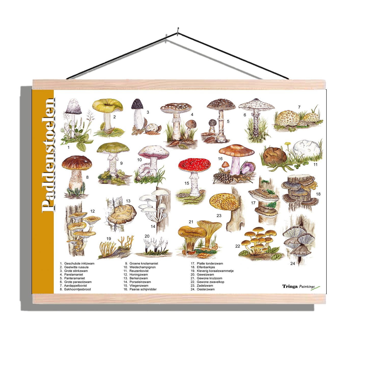 Herkenningsposter "Paddenstoelen"