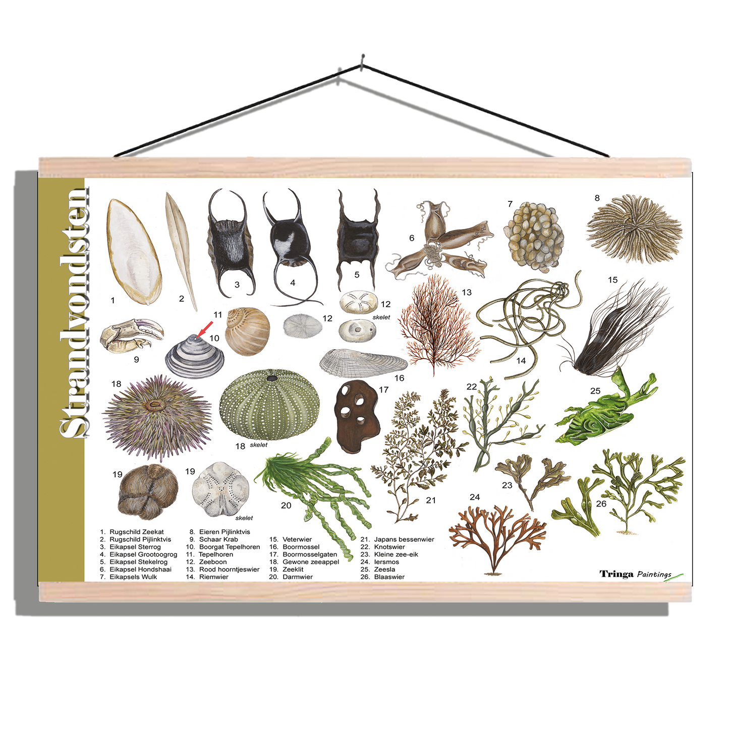 Herkenningsposter "Strandvondsten"