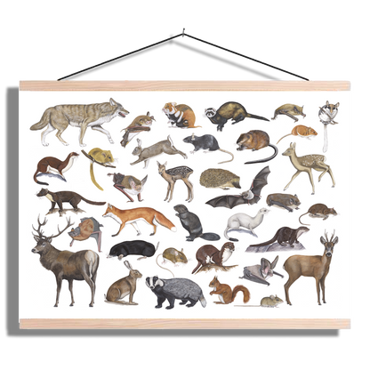 Schoolplaat "Zoogdieren"