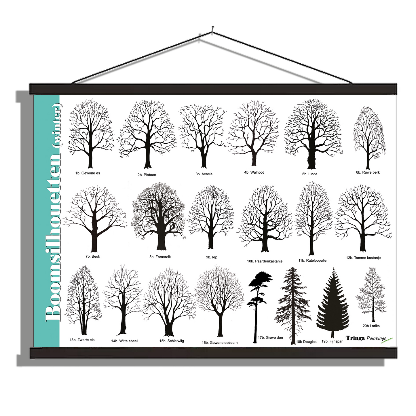 Herkenningsposter "Boomsilhouetten (winter)"