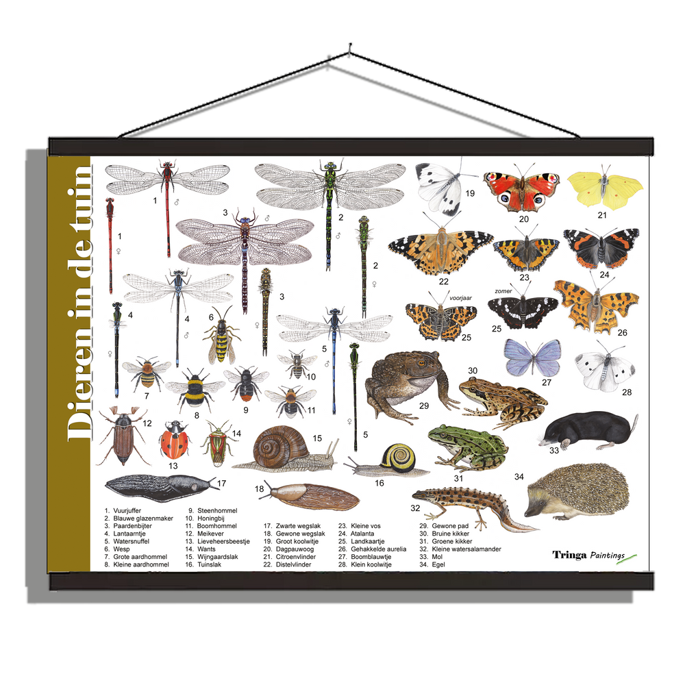 Herkenningsposter "Dieren in de tuin"