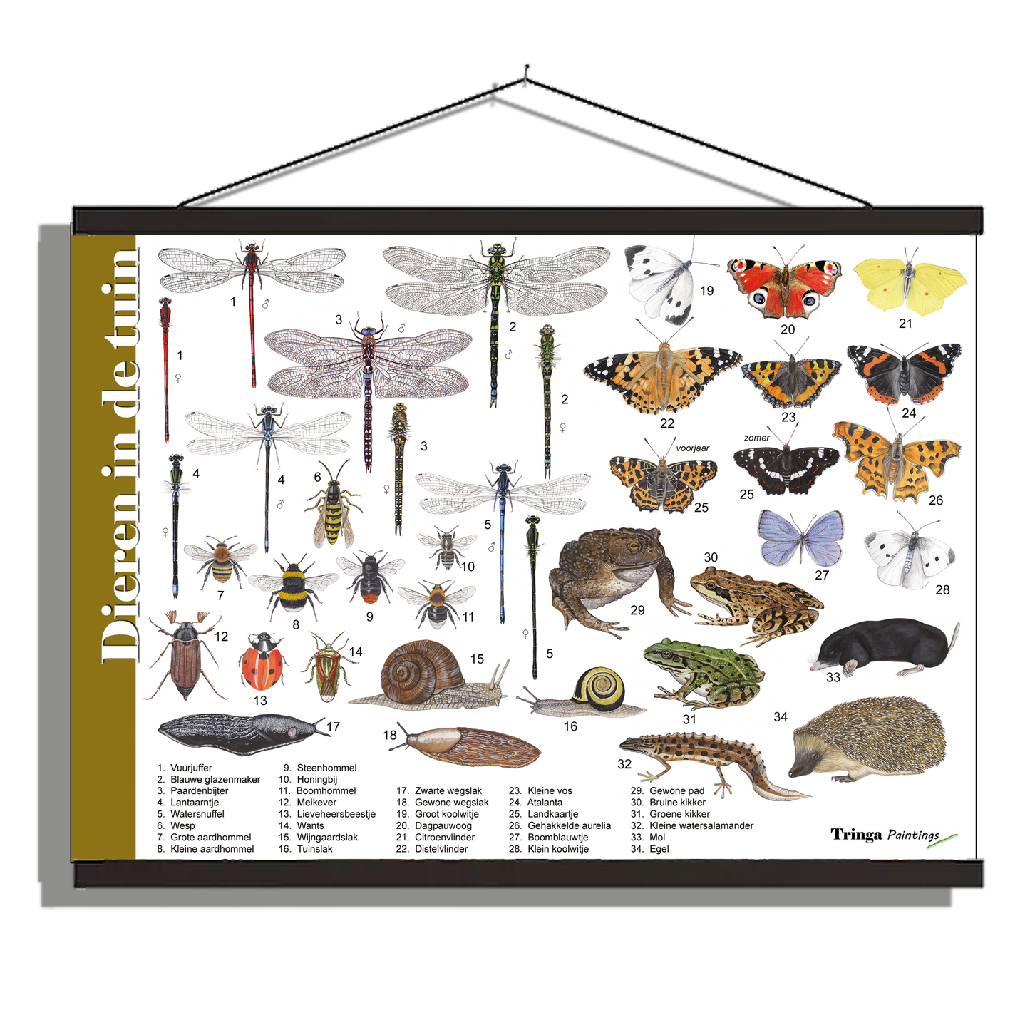 Herkenningsposter "Dieren in de tuin"