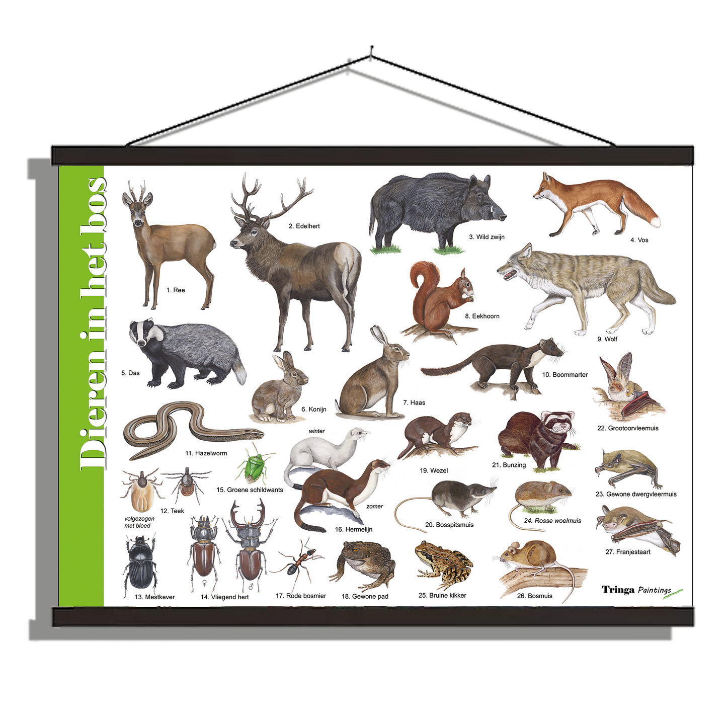 Herkenningsposter "Dieren in het bos"