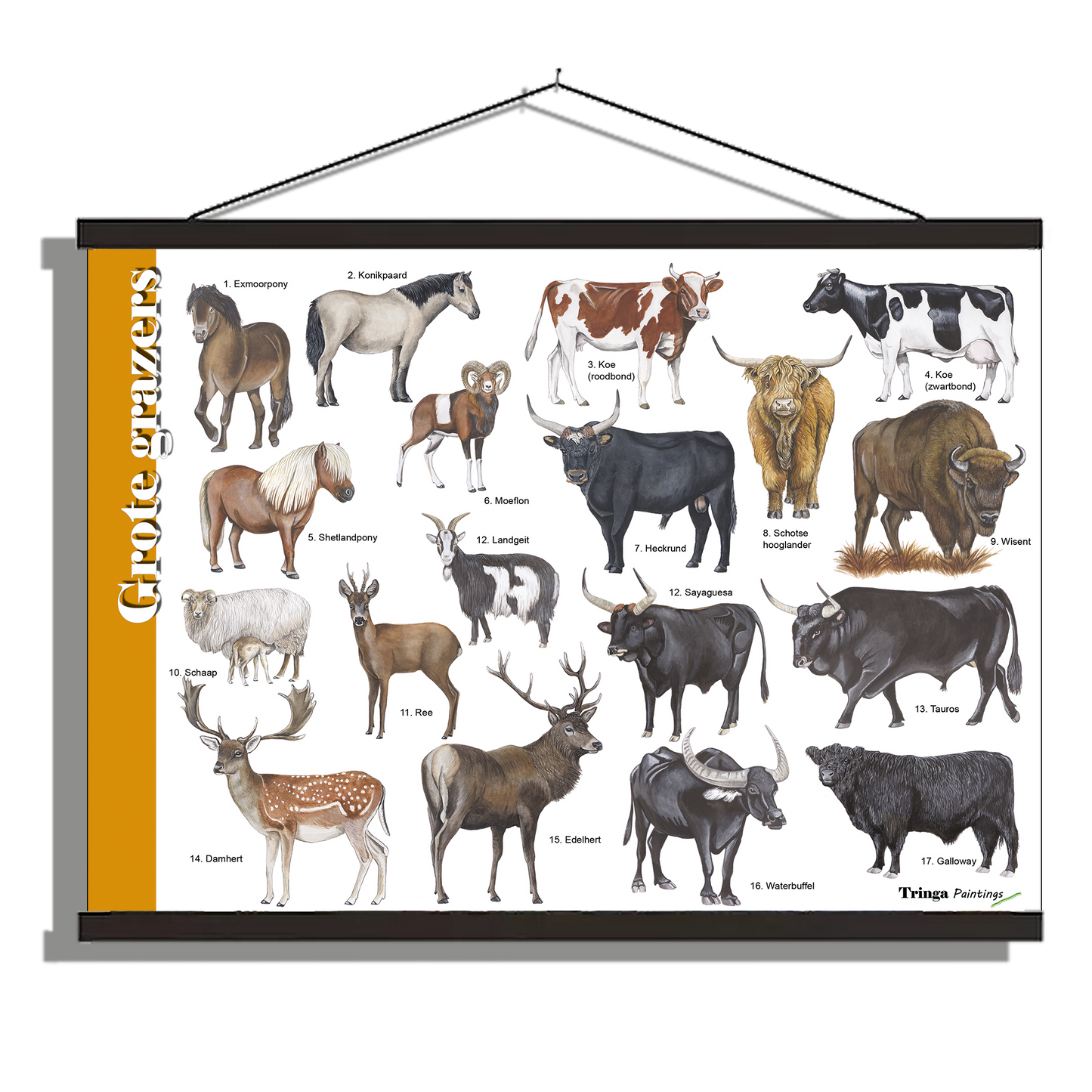 Herkenningsposter "Grote grazers"