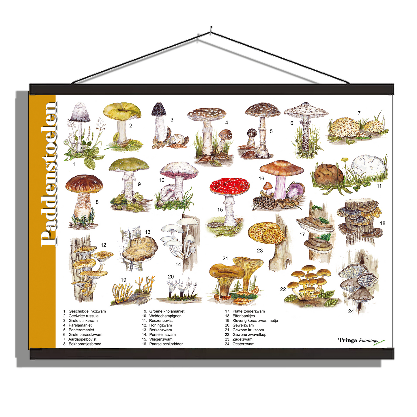 Herkenningsposter "Paddenstoelen"