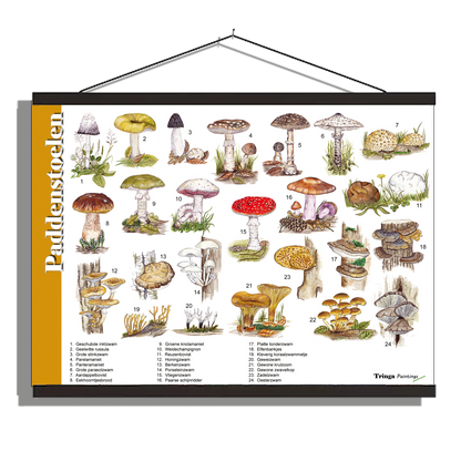 Herkenningsposter "Paddenstoelen"