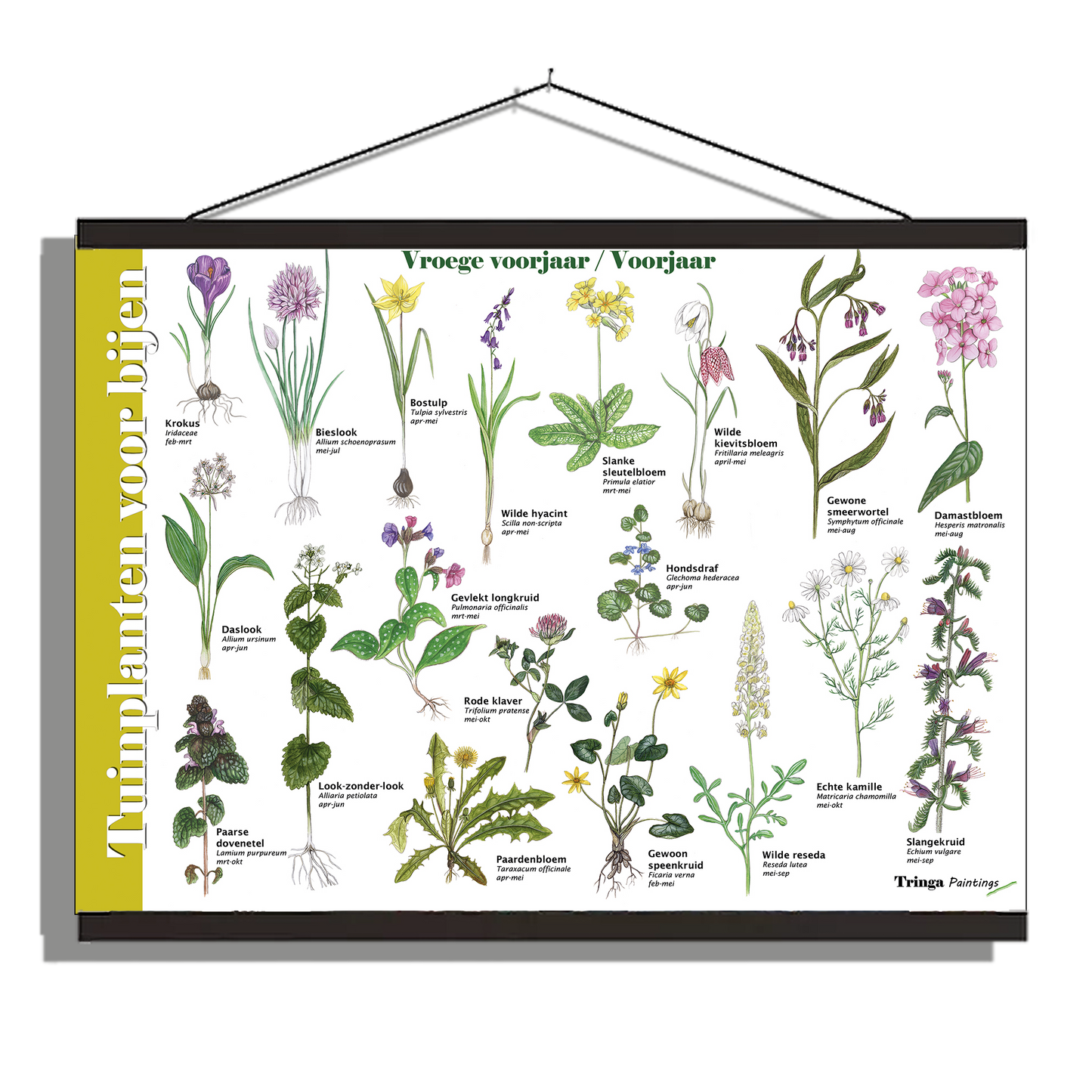 Herkenningsposter "Tuinplanten voor bijen (voorjaar)"