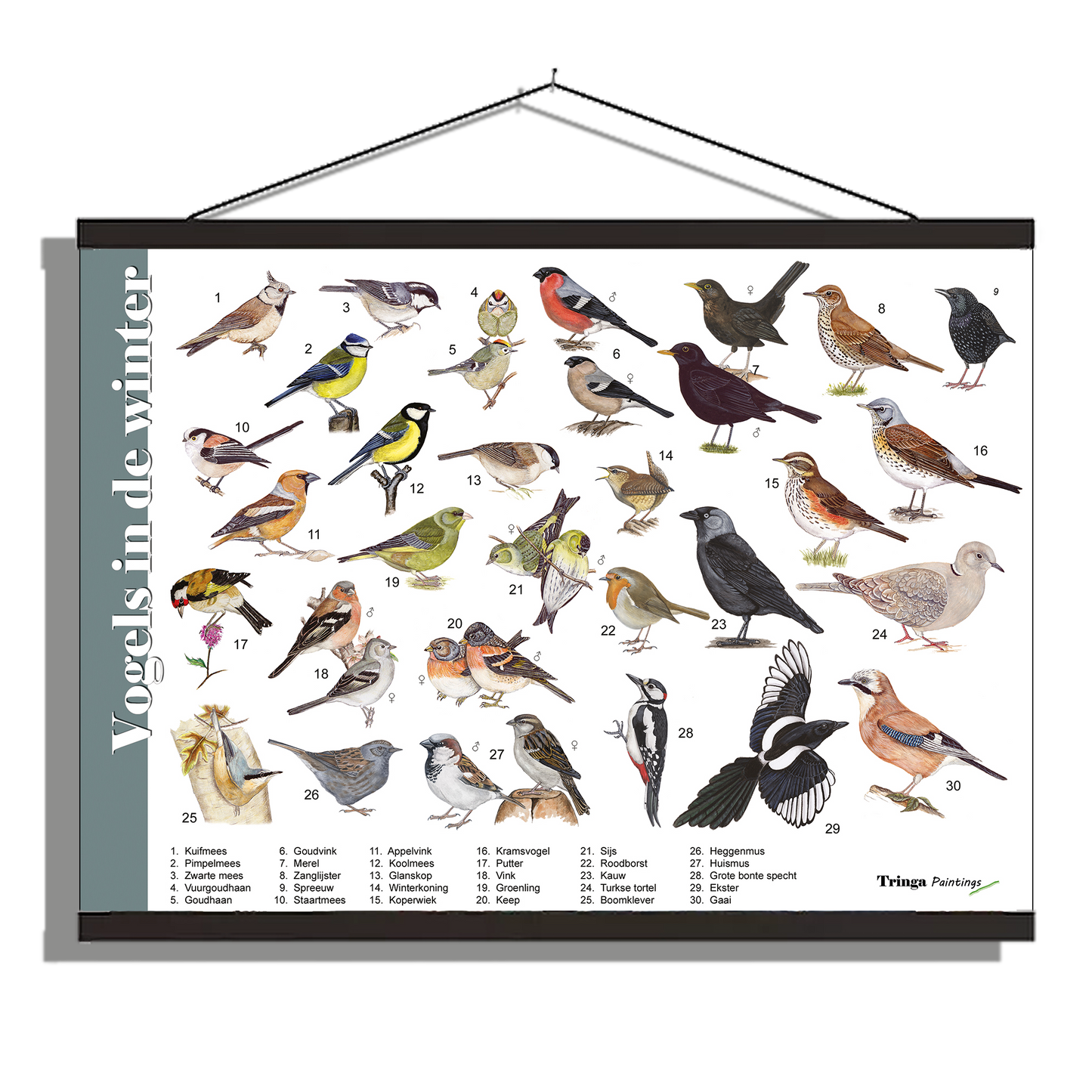Herkenningsposter "Vogels in de winter"