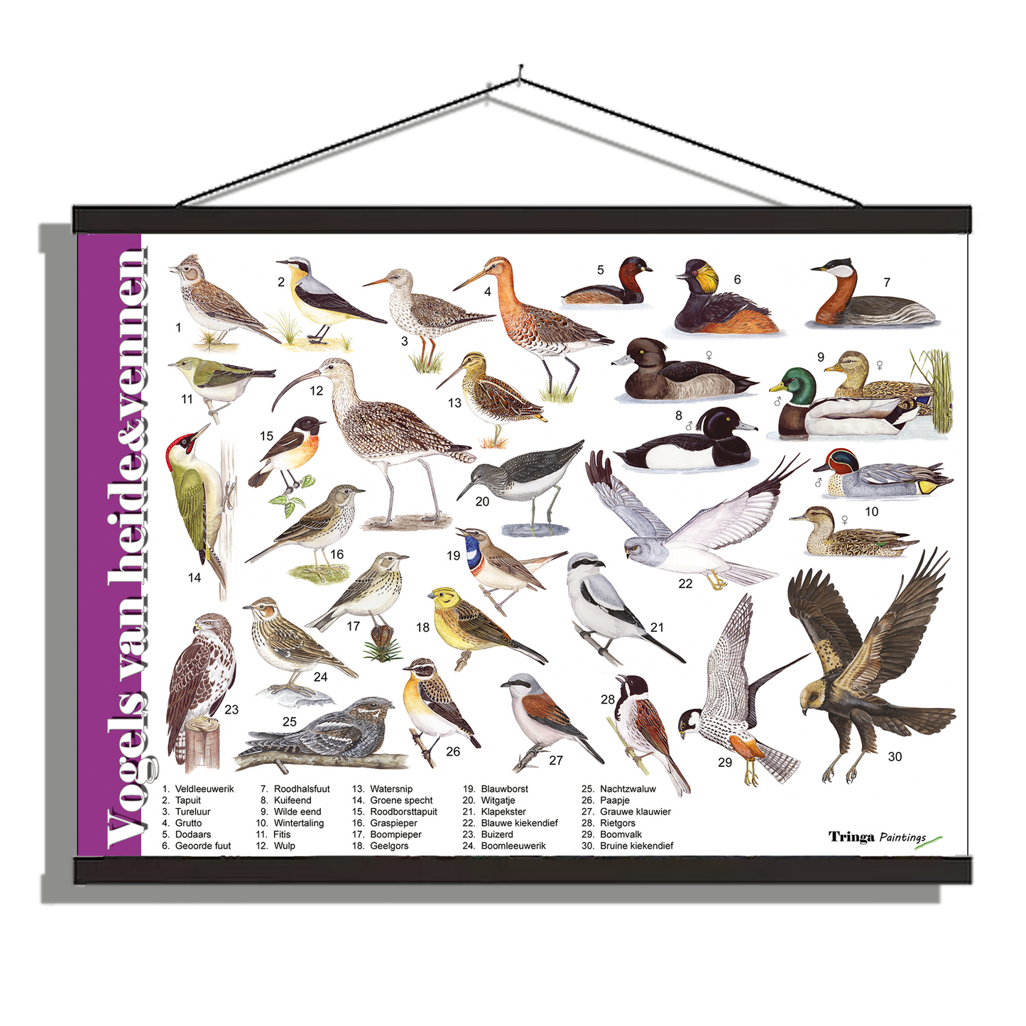 Herkenningsposter "Vogels van heide en vennen"