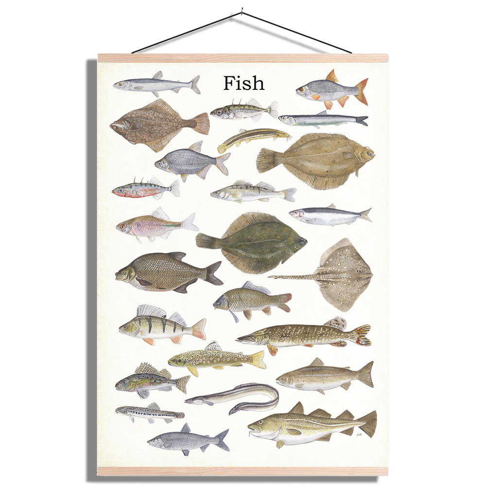 Schoolplaat "Fish"