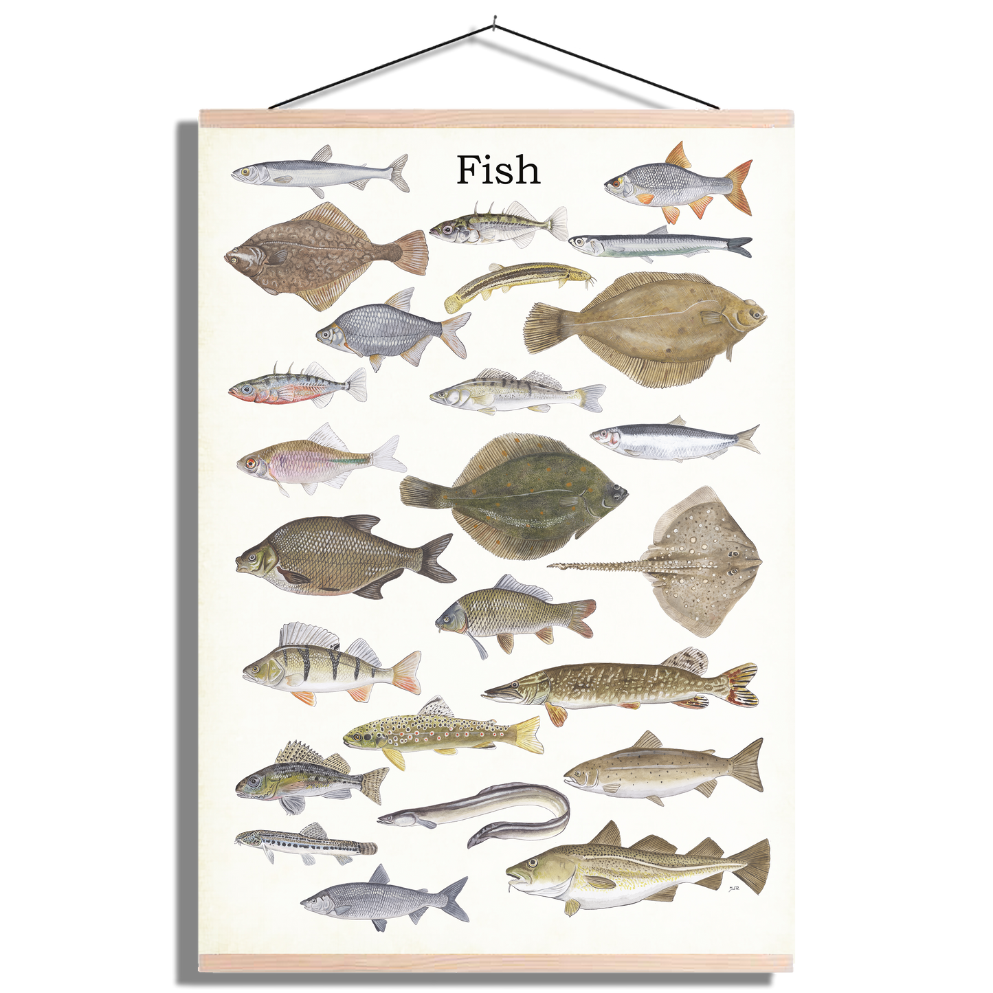 Schoolplaat "Fish"