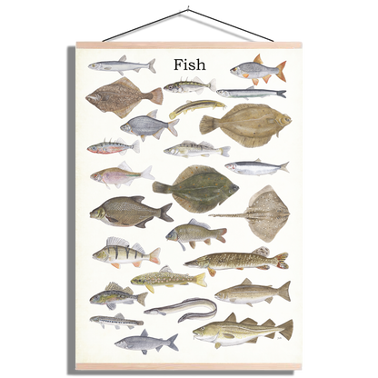 Schoolplaat "Fish"