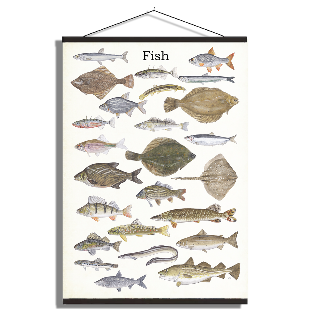 Schoolplaat "Fish"