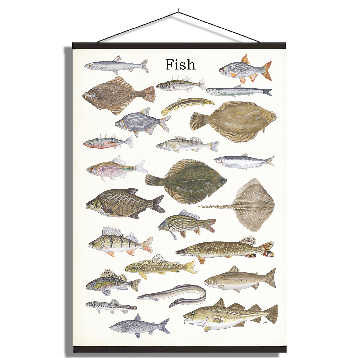 Schoolplaat "Fish"