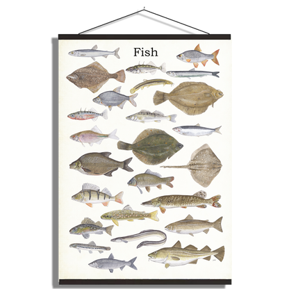 Schoolplaat "Fish"