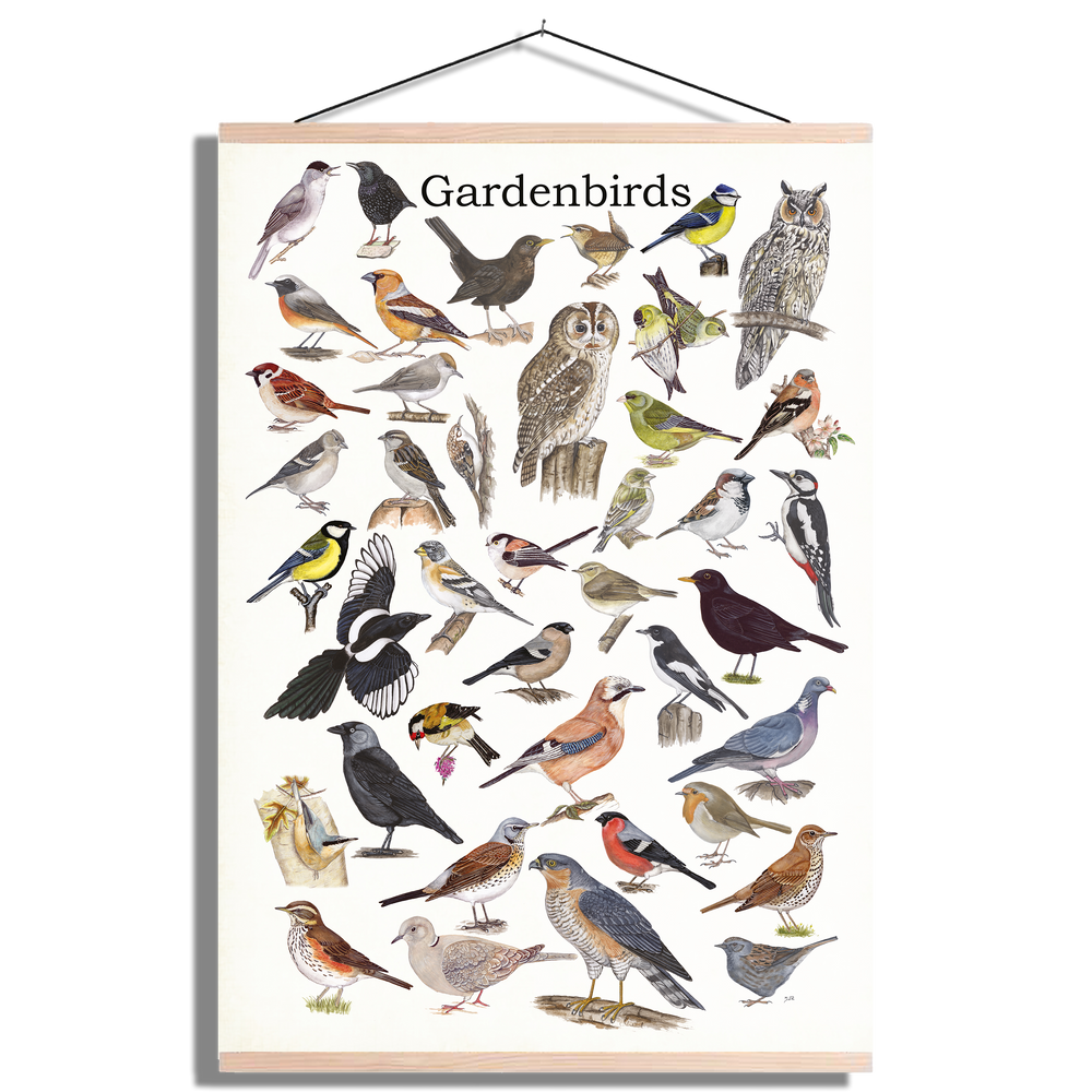 Schoolplaat "Gardenbirds"