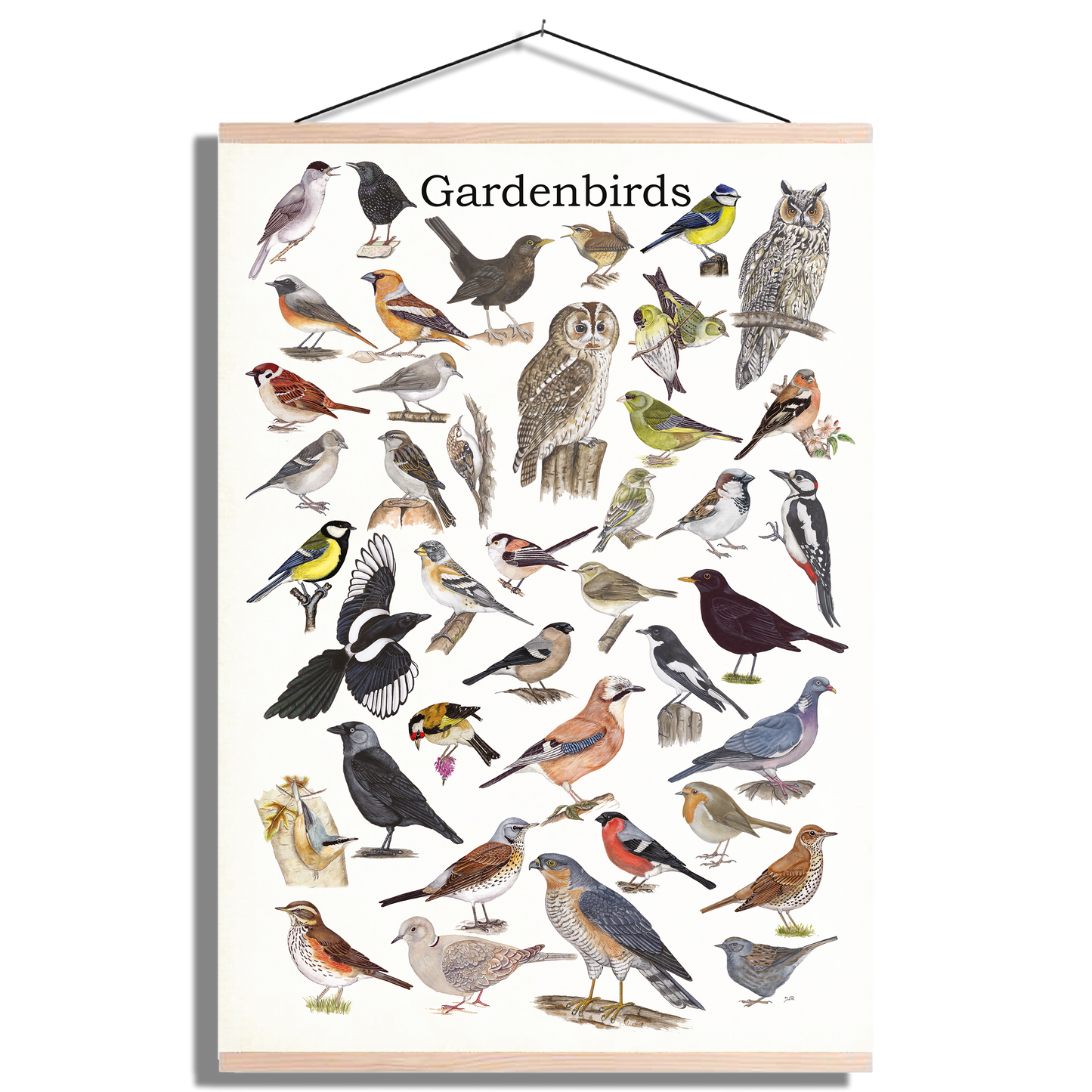 Schoolplaat "Gardenbirds"