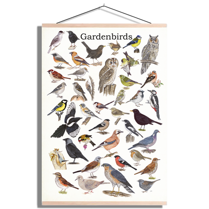 Schoolplaat "Gardenbirds"
