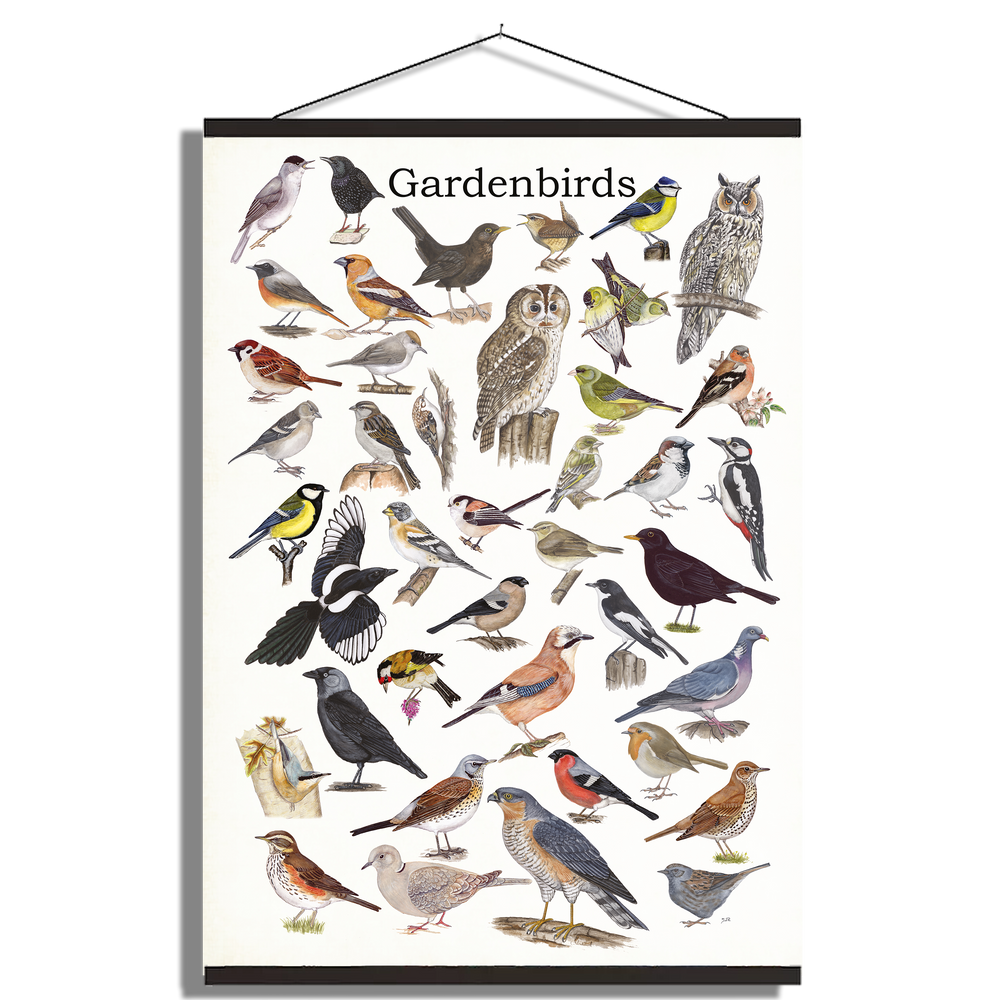 Schoolplaat "Gardenbirds"