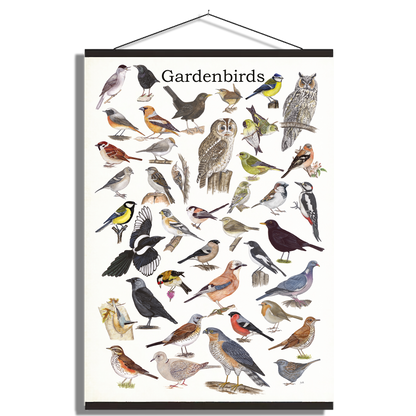Schoolplaat "Gardenbirds"