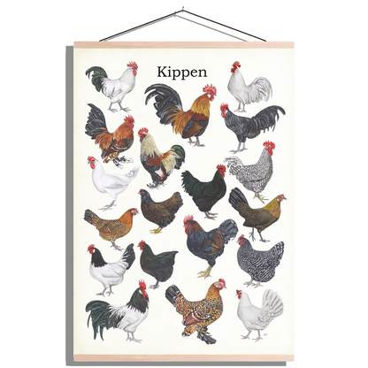 Schoolplaat "Kippen"