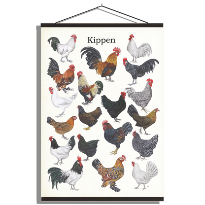 Schoolplaat "Kippen"