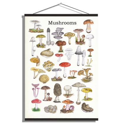 Schoolplaat "Mushrooms"