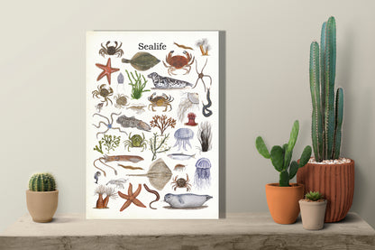 Wanddecoratie "Sealife"