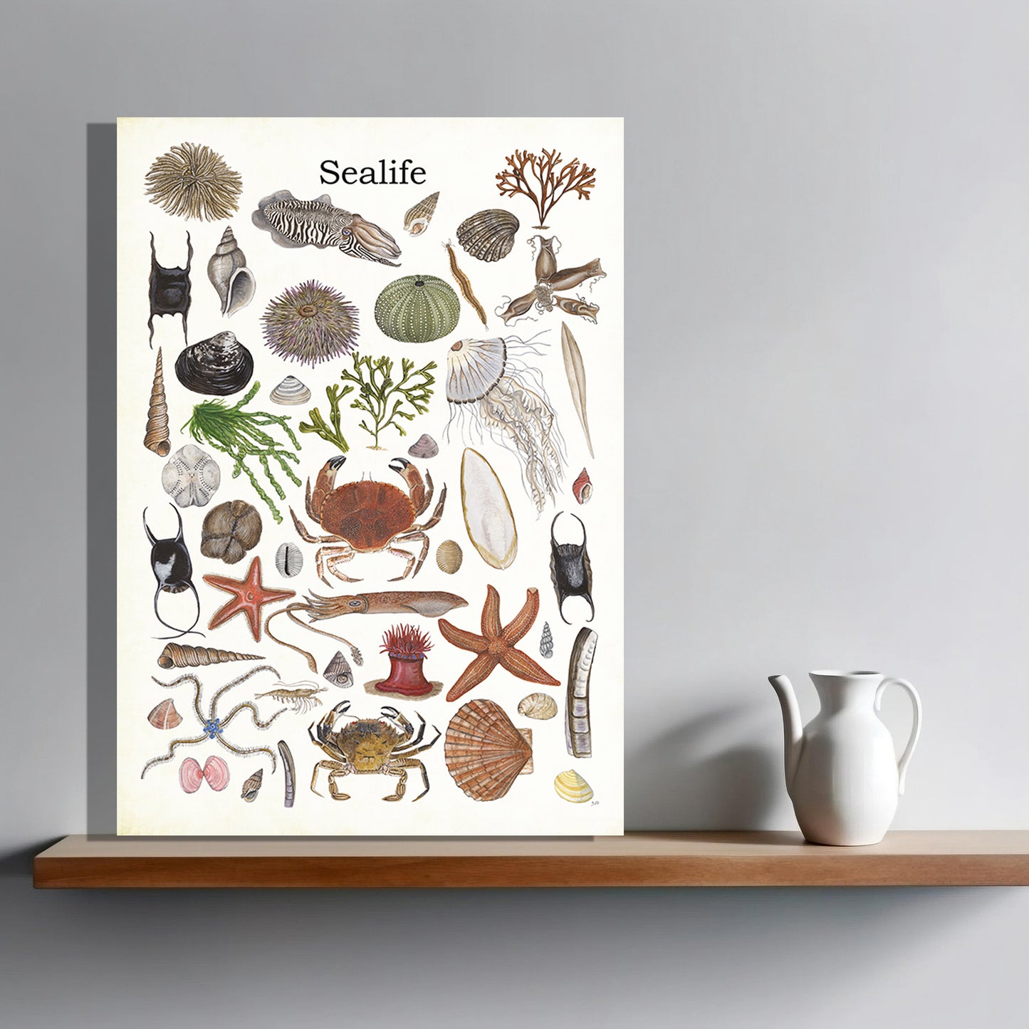 Wanddecoratie "Sealife 2"
