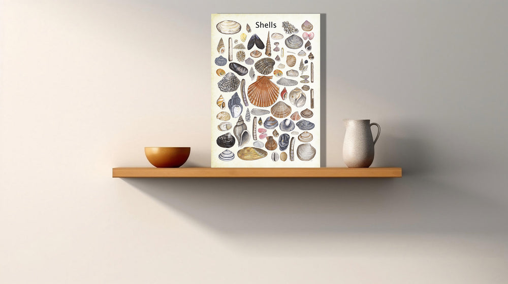 Wanddecoratie "Shells"