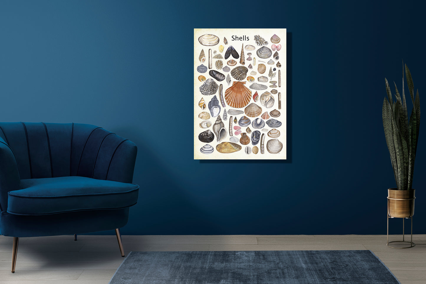 Wanddecoratie "Shells"