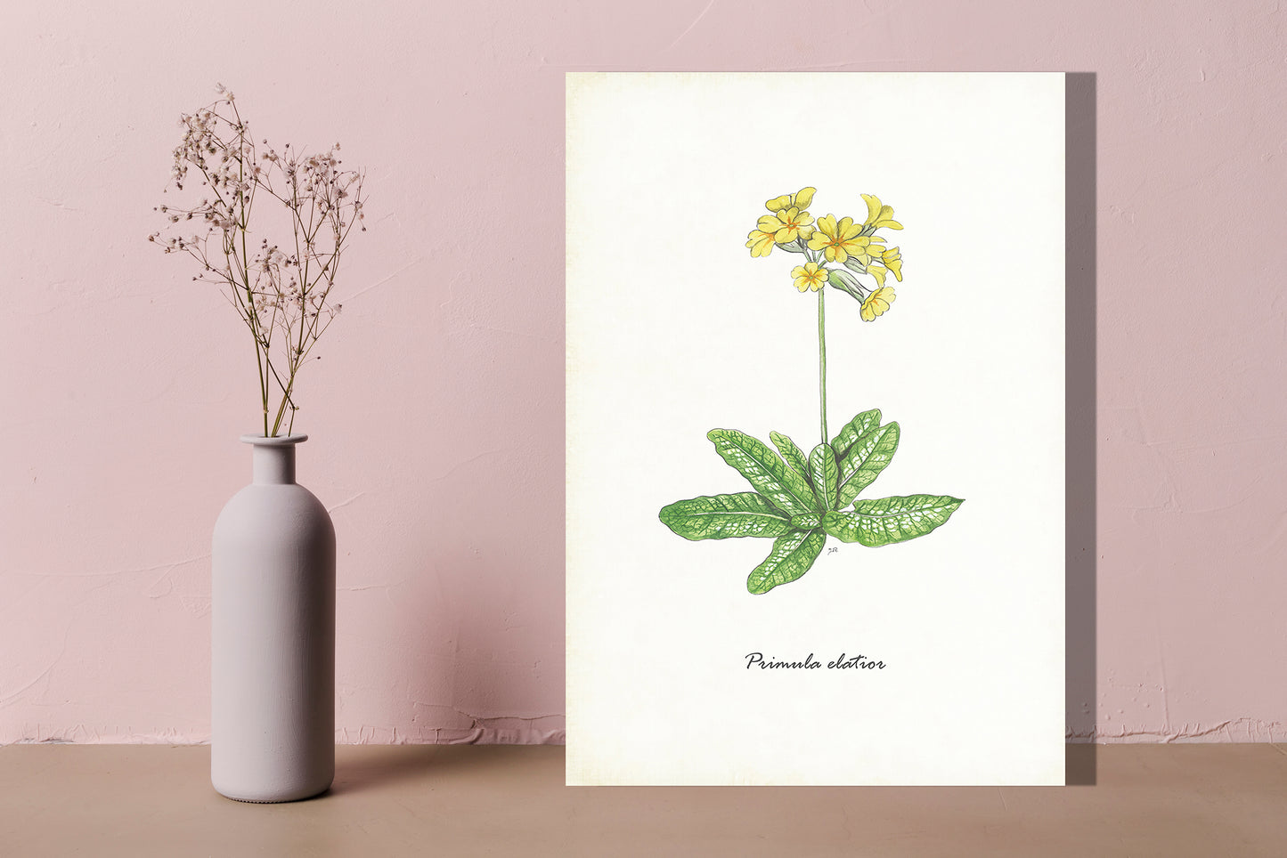 Wanddecoratie "Slanke sleutelbloem"