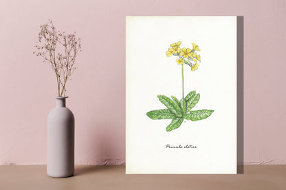Wanddecoratie "Slanke sleutelbloem"