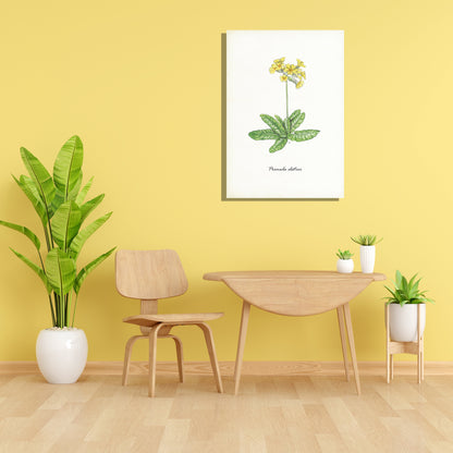Wanddecoratie "Slanke sleutelbloem"