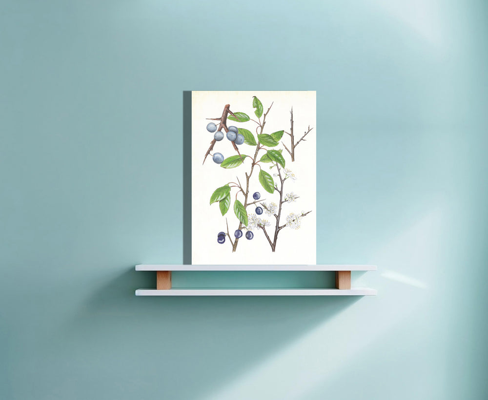 Wanddecoratie "Sleedoorn, het leven van"