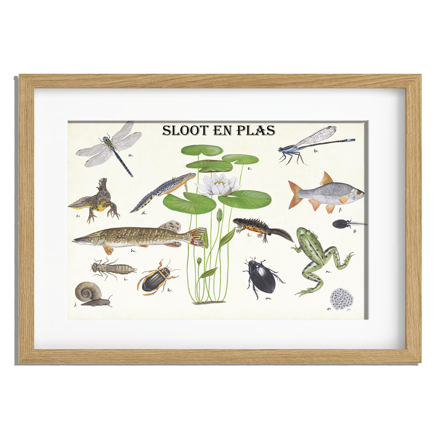 Ingelijst "Sloot en plas"
