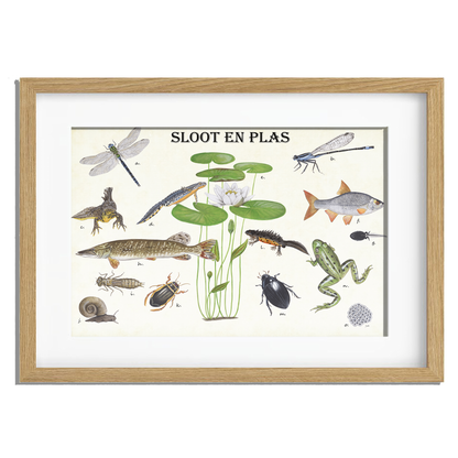 Ingelijst "Sloot en plas"