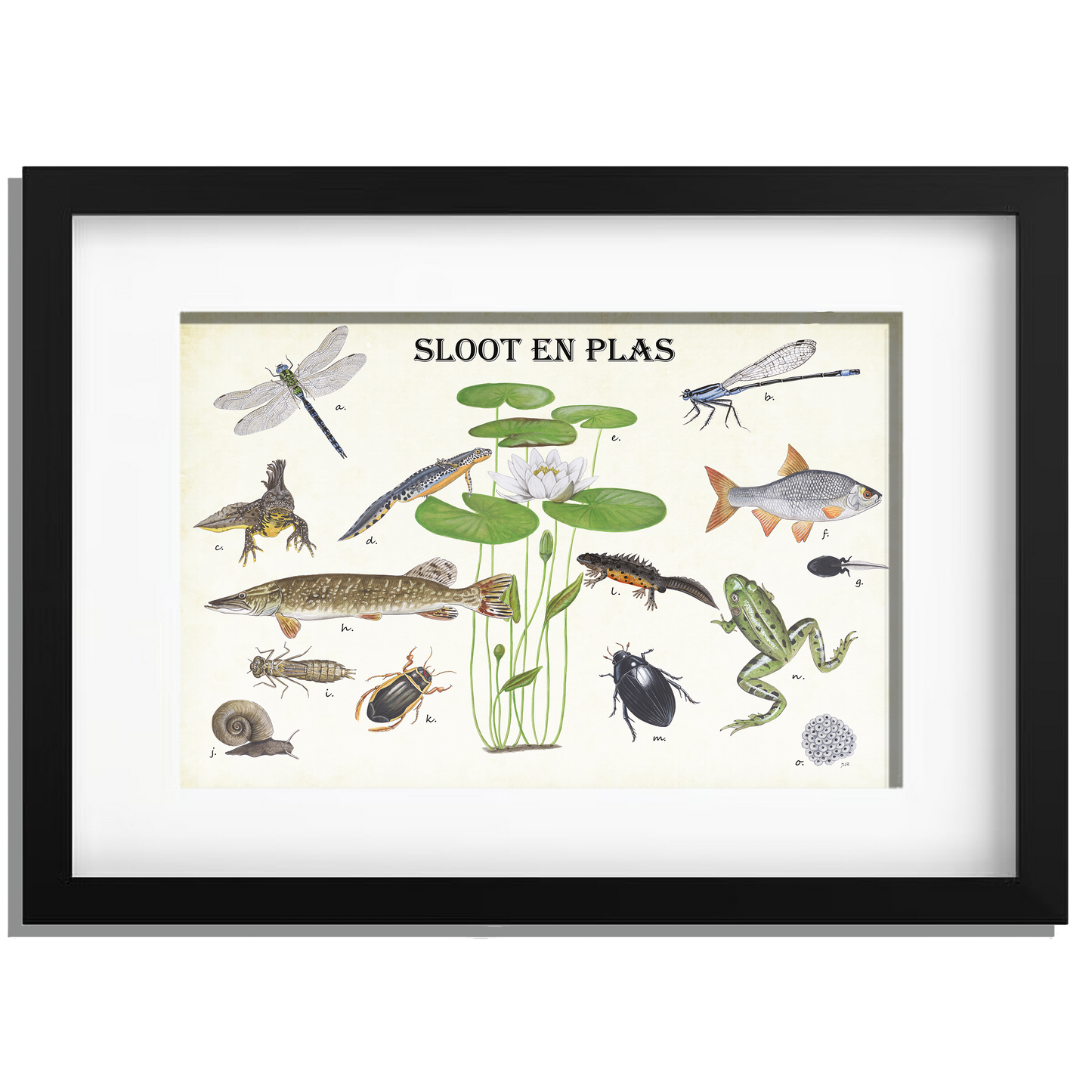 Ingelijst "Sloot en plas"