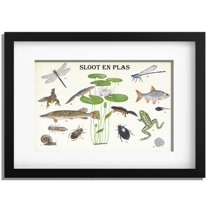 Ingelijst "Sloot en plas"