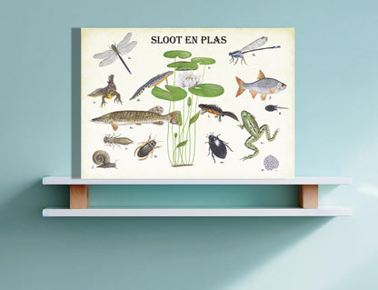 Wanddecoratie "Sloot en plas"