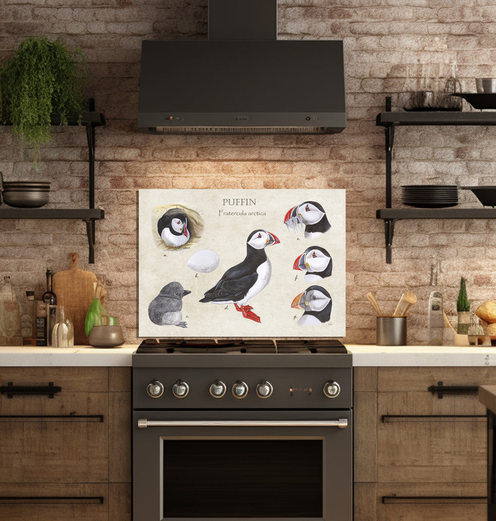 Spatscherm "Puffin"
