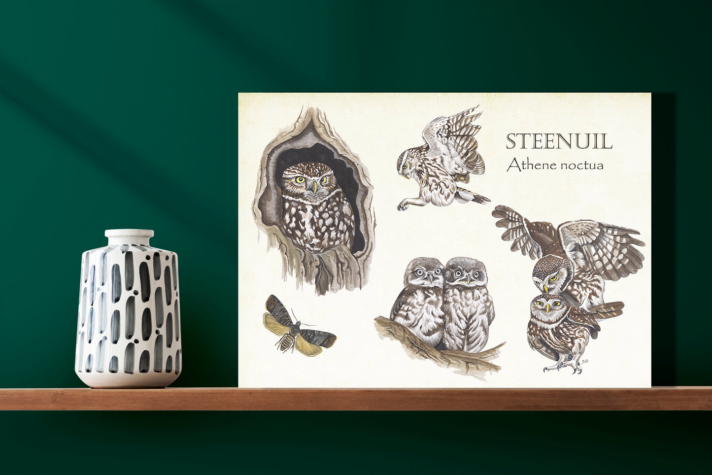 Wanddecoratie "Steenuilen, het leven van"