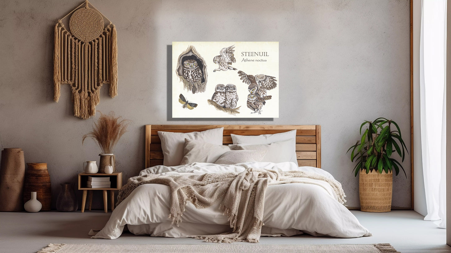 Wanddecoratie "Steenuilen, het leven van"