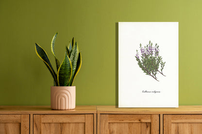 Wanddecoratie "Struikheide"