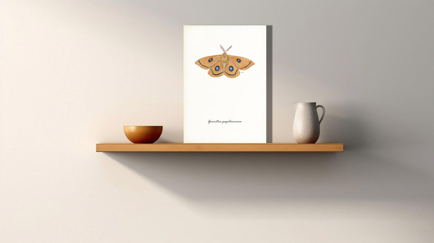 Wanddecoratie "Tauvlinder"