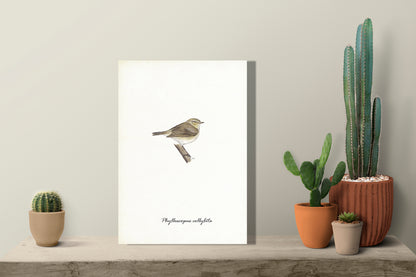 Wanddecoratie "Tjiftjaf"