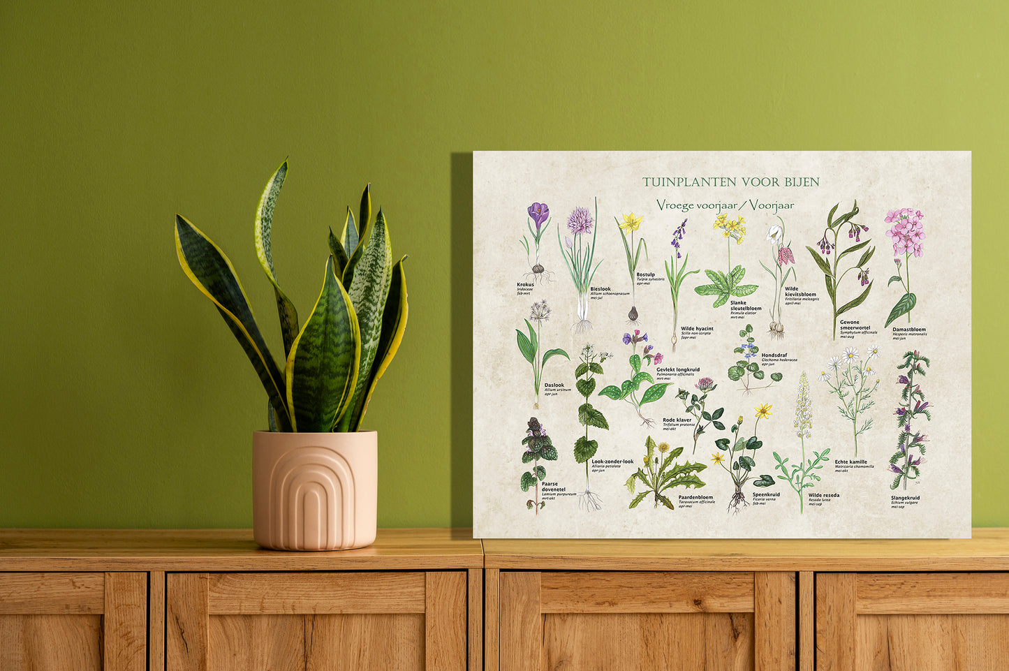 Wanddecoratie "Tuinplanten voor bijen - voorjaar"